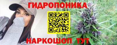 стафф Малгобек
