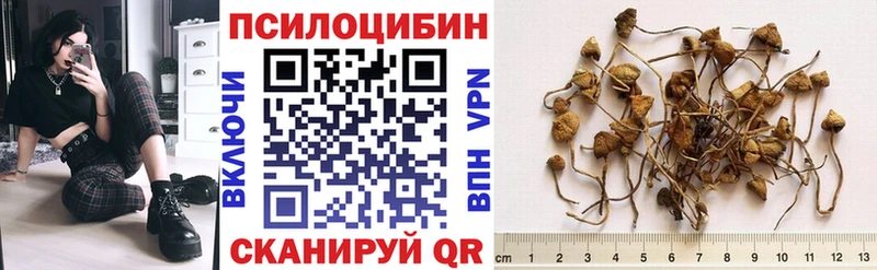 Галлюциногенные грибы MAGIC MUSHROOMS  Зима 
