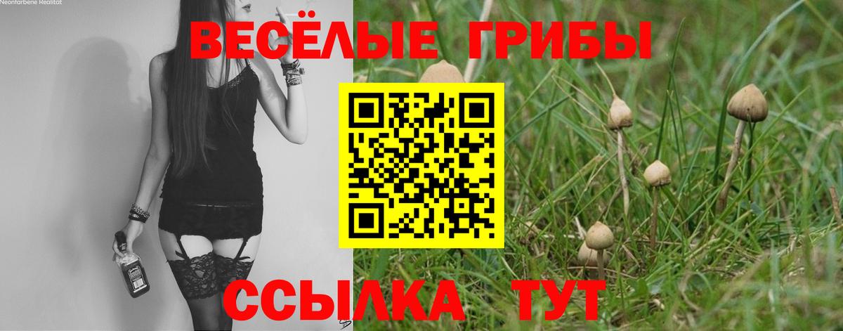 Галлюциногенные грибы Cubensis Зима